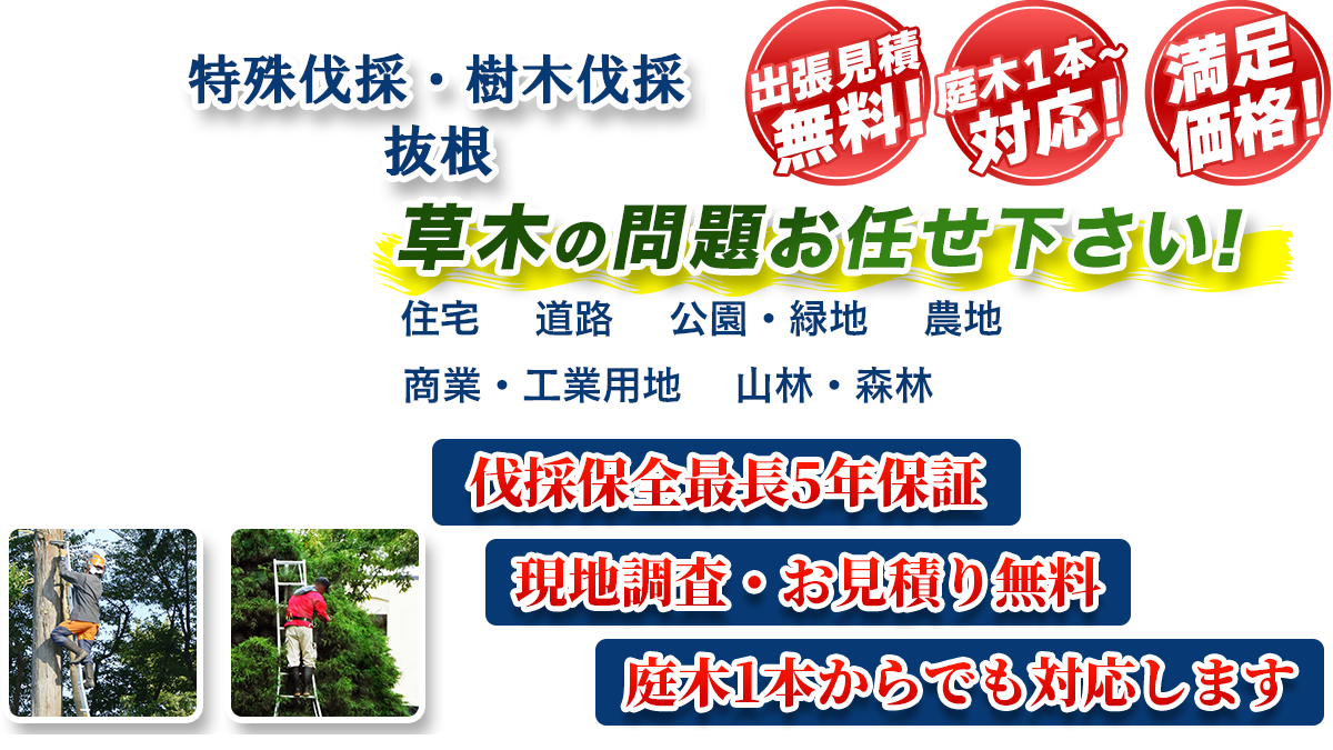 伊那市エリア即対応!! 出張無料! 庭木1本~対応! 満足価格! 植木剪定・生垣刈込 樹木伐採・伐根 草木の問題お任せ下さい! 住宅 道路 公園・緑地 農地 商業・工業用他 山林・森林 伐採保全最長5年保証 現地調査・お見積り無料 庭木1本からでも対応します